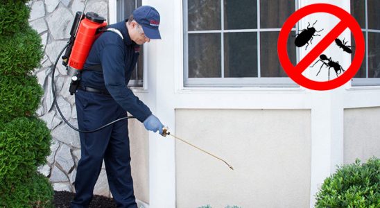 Hanak Dezenfeksiyon böcek ilaçlama ve haşere kontrolü — ilaclama-tr.com